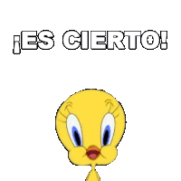 Es Cierto Pájaro Piolín Sticker - Es Cierto Pájaro Piolín Looney Tunes Stickers