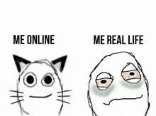 a drawing of a cat and a drawing of a person with the words me online and me real life