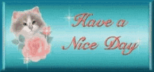 Have A Nice Day Kitten GIF - Have A Nice Day Kitten Glitter GIFs