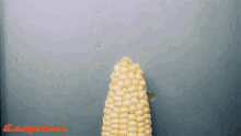 Oil Corn GIF - Oil Corn Elote GIFs