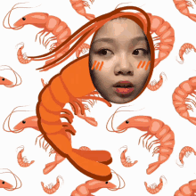 asfire asfire yoshi yoshi shrimpy shrimp