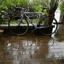 Bike Wet GIF - Bike Wet Rain GIFs