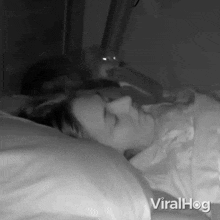 Waking Up Suddenly Viralhog GIF - Waking Up Suddenly Viralhog Jolted Awake GIFs