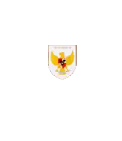the coat of arms of indonesia with an eagle and a shield
