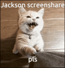 Jackson Screenshare GIF - Jackson Screenshare GIFs