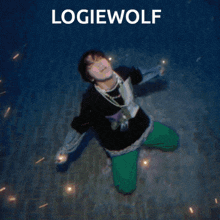Logiewolf Alpha GIF - Logiewolf Alpha Wolf GIFs
