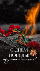a greeting card in a foreign language with red carnations and a fire in the background