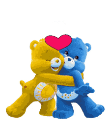 amor bears