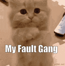 My Fault Gang GIF - My Fault Gang GIFs