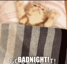 Badnight Goodnight GIF - Badnight Goodnight Good Night Cat GIFs