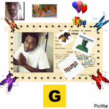 a picture of tyler surrounded by stickers and butterflies with the letter g in the middle