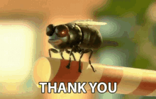 Thank You Very Much Amazing GIF - Thank You Very Much Amazing Wow GIFs