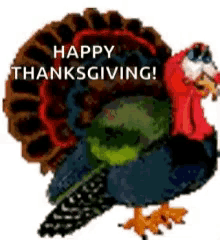 Happy Thanksgiving Blink GIF - Happy Thanksgiving Blink Turkey GIFs