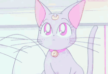 Kawaii Sailormoon GIF - Kawaii Sailormoon Cat GIFs