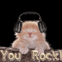 You Rock It Cat GIF - You Rock It Cat Music GIFs