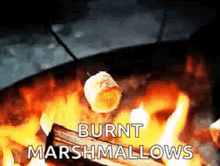 Camping Fire GIF - Camping Fire Smores GIFs