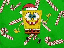 spongebob wearing a santa hat is surrounded by candy canes .