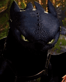 toothless night fury httyd angry
