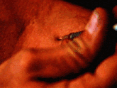 a close up of a person 's hand holding a lighter
