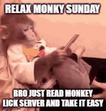 Relax Monky Sunday Relax GIF - Relax Monky Sunday Relax Monky GIFs