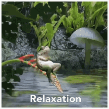 Relaxation67 Relaxation Thai67 GIF - Relaxation67 Relaxation Relaxation Thai67 GIFs
