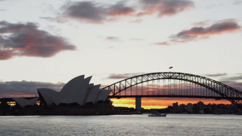 Sydney Sydney City GIF - Sydney Sydney City Sydney Cbd GIFs