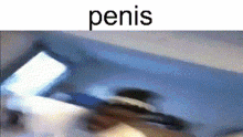 Meme Penis GIF - Meme Penis Ksi GIFs