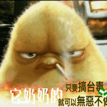a cartoon chicken with a cigarette in its mouth and chinese writing behind it
