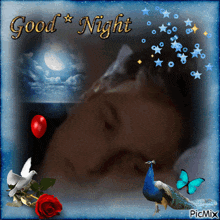 a picture of a woman sleeping with a peacock and roses and the words good night