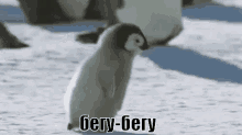 бегу уже бегу бежать пингвин GIF