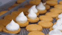 a bunch of cookies with whipped cream on top of them and the words made in animatica in the corner