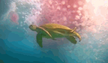 Turtle Jelly Fish GIF - Turtle Jelly Fish Ocean GIFs