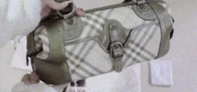 a woman is holding a purse with a plaid pattern