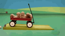 Puppy Wagon! GIF - Puppies Cutie Wagon GIFs