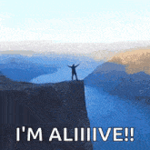 a man standing on the edge of a cliff with the words " i 'm alive " written below him