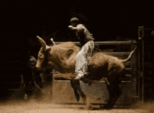 a man riding a bull in a rodeo