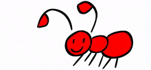 an the