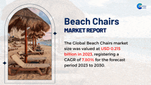 Beach Chairs Market Report 2024 GIF