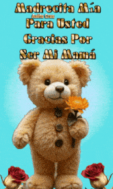a teddy bear is holding a flower and says madrecita mia para usted