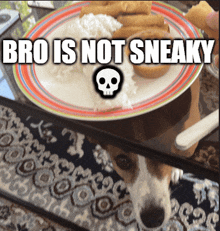 a dog looking at a plate of food that says bro is not sneaky on it