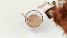 Choccy Milk Chocolate Milk GIF