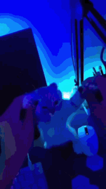 Catto Dance Cat Vibe GIF - Catto Dance Cat Vibe M2rked GIFs