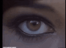 Kate Bush Eye GIF - Kate Bush Eye Eyes GIFs