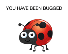 Bugged Ladybug GIF