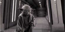 Starwars Wisdom GIF - Starwars Wisdom Yoda GIFs