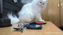 Jerk Cats Love Knocking Sh*t Over GIF - Cats Jerks Funny GIFs