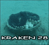 a picture of a kraken in the ocean