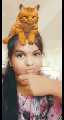 Nandu Selfie GIF - Nandu Selfie Cat GIFs