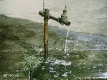 афоня Water GIF - афоня Water GIFs