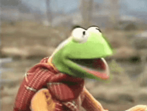 kermit-bike.gif